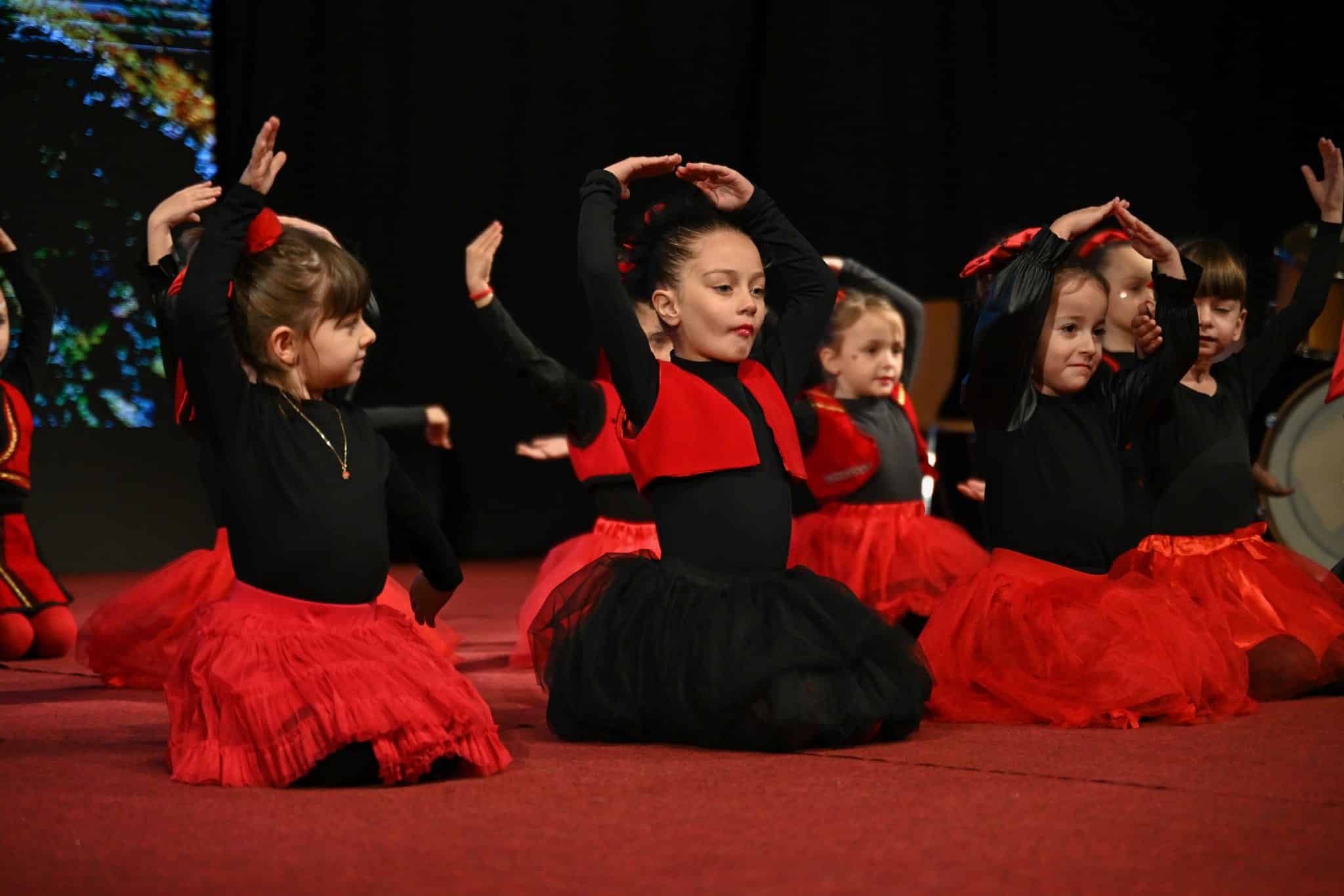 Koncert održan povodom 28. novembra – Dana zastave